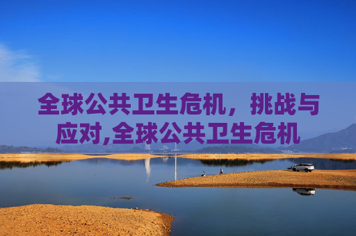 全球公共卫生危机，挑战与应对,全球公共卫生危机