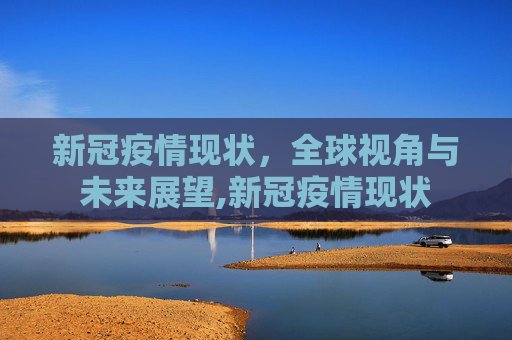 新冠疫情现状，全球视角与未来展望,新冠疫情现状