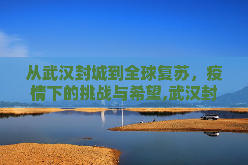 从武汉封城到全球复苏，疫情下的挑战与希望,武汉封城至全球复苏