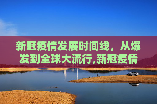 新冠疫情发展时间线，从爆发到全球大流行,新冠疫情发展时间线