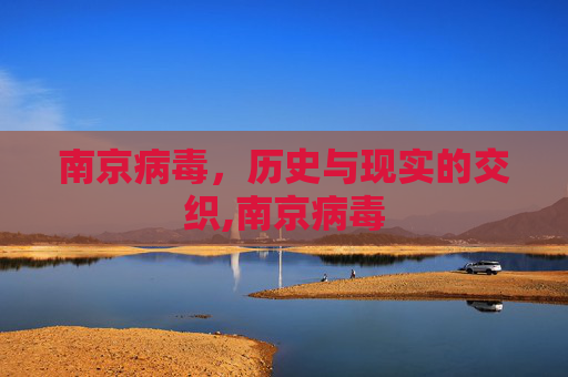 南京病毒，历史与现实的交织,南京病毒