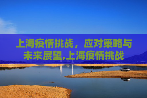 上海疫情挑战，应对策略与未来展望,上海疫情挑战