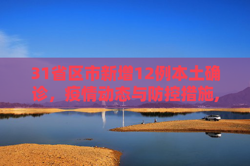 31省区市新增12例本土确诊，疫情动态与防控措施,31省区市新增12例本土确诊