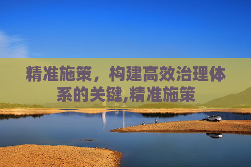 精准施策，构建高效治理体系的关键,精准施策
