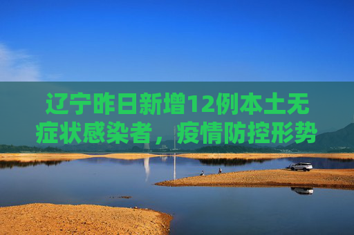 辽宁昨日新增12例本土无症状感染者，疫情防控形势依然严峻,辽宁昨增12例本土无症状