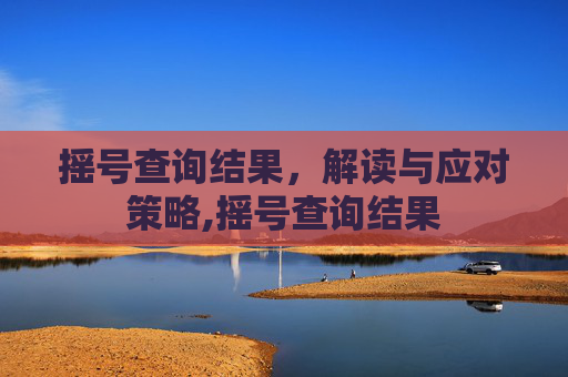 摇号查询结果，解读与应对策略,摇号查询结果
