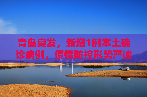 青岛突发，新增1例本土确诊病例，疫情防控形势严峻,青岛新增1例本土确诊病例