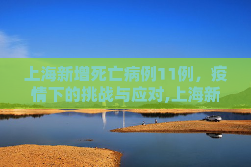 上海新增死亡病例11例，疫情下的挑战与应对,上海新增死亡病例11例