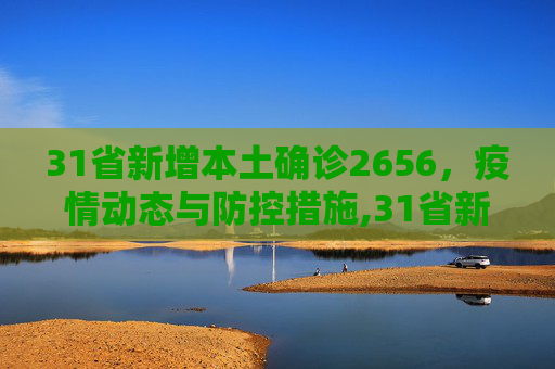 31省新增本土确诊2656，疫情动态与防控措施,31省新增本土确诊2656