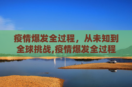 疫情爆发全过程，从未知到全球挑战,疫情爆发全过程