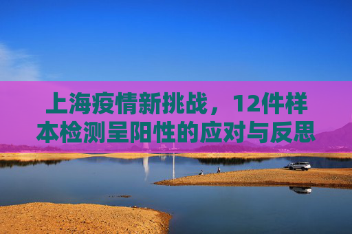 上海疫情新挑战，12件样本检测呈阳性的应对与反思,上海12件样本呈阳性