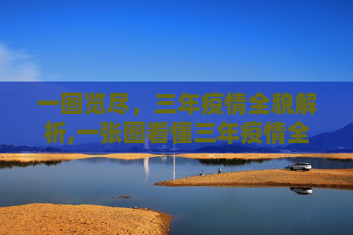 一图览尽，三年疫情全貌解析,一张图看懂三年疫情全貌