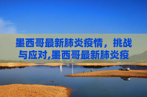 墨西哥最新肺炎疫情，挑战与应对,墨西哥最新肺炎疫情