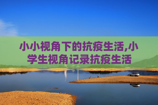 小小视角下的抗疫生活,小学生视角记录抗疫生活
