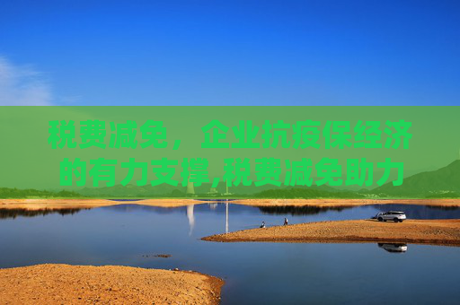 税费减免，企业抗疫保经济的有力支撑,税费减免助力企业抗疫保经济