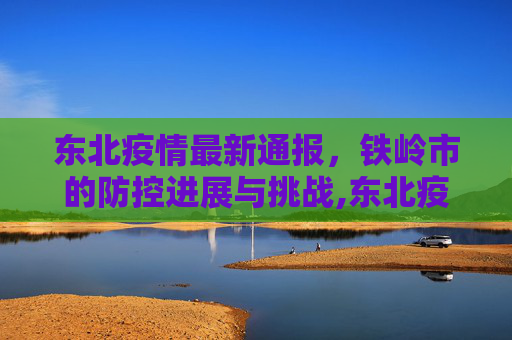 东北疫情最新通报，铁岭市的防控进展与挑战,东北疫情最新通报铁岭