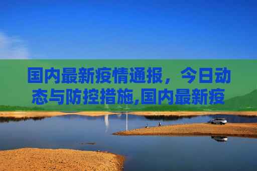 国内最新疫情通报，今日动态与防控措施,国内最新疫情通报今日