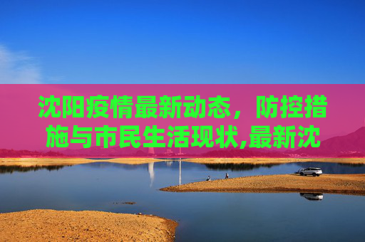 沈阳疫情最新动态，防控措施与市民生活现状,最新沈阳最新疫情:最新沈阳疫情情况
