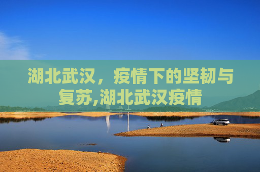 湖北武汉，疫情下的坚韧与复苏,湖北武汉疫情