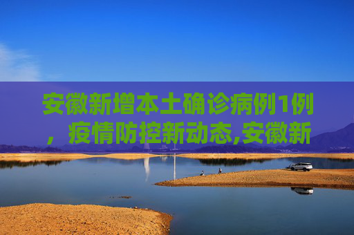 安徽新增本土确诊病例1例，疫情防控新动态,安徽新增本土确诊病例1例