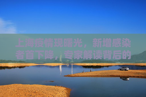 上海疫情现曙光，新增感染者首下降，专家解读背后的积极信号,上海新增感染者首下降专家解读